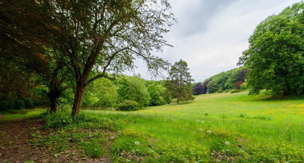 Ons domein Ons domein